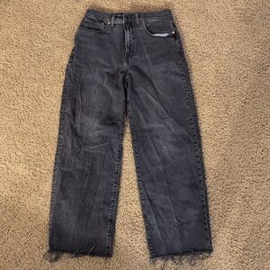 Madewell perfect vintage wide leg crop jeans
